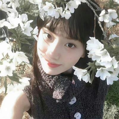 美人谋